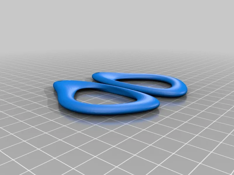 Weird Torus Earrings view 2