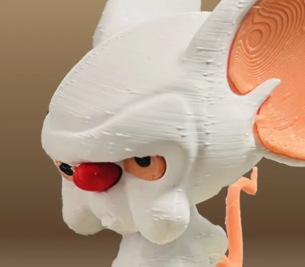 https://makerworld.bblmw.com/makerworld/model/DSM00000000492782/design/2024-06-12_77e5591b62565.jpg