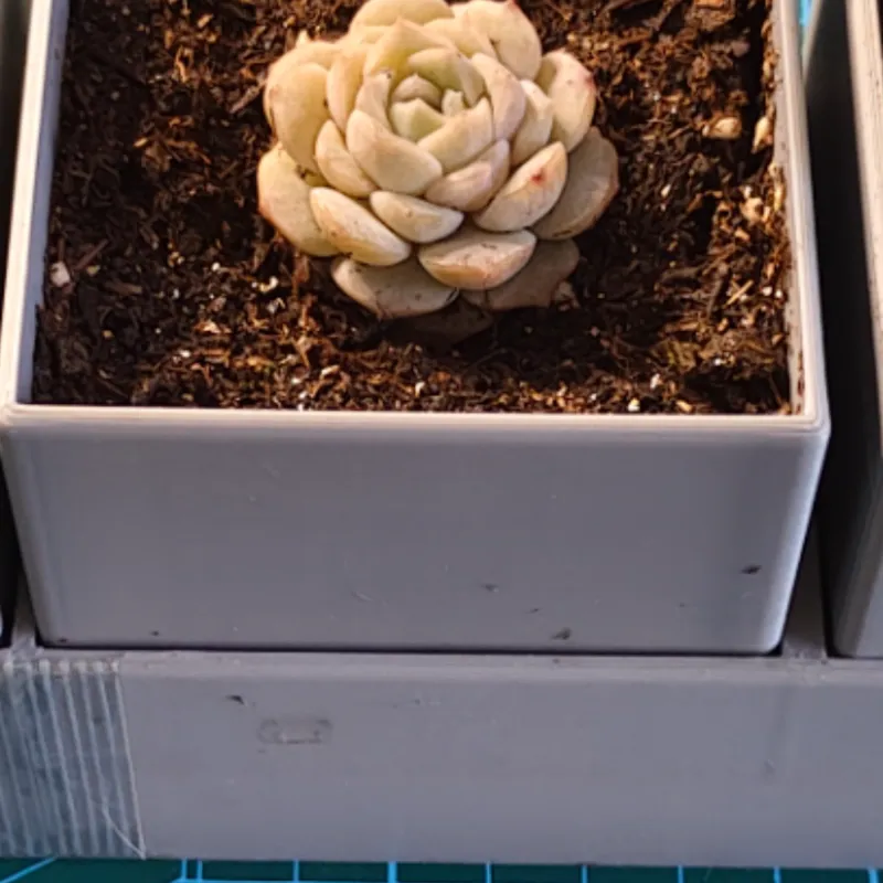 花盆.分体