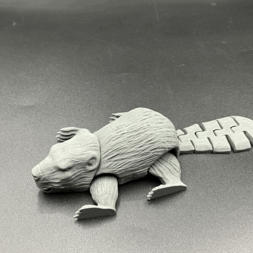 https://makerworld.bblmw.com/makerworld/model/DSM00000000496298/design/2024-06-15_855d7aa05d269.gif
