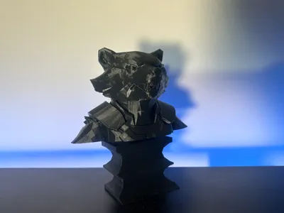 rocket raccoon bust