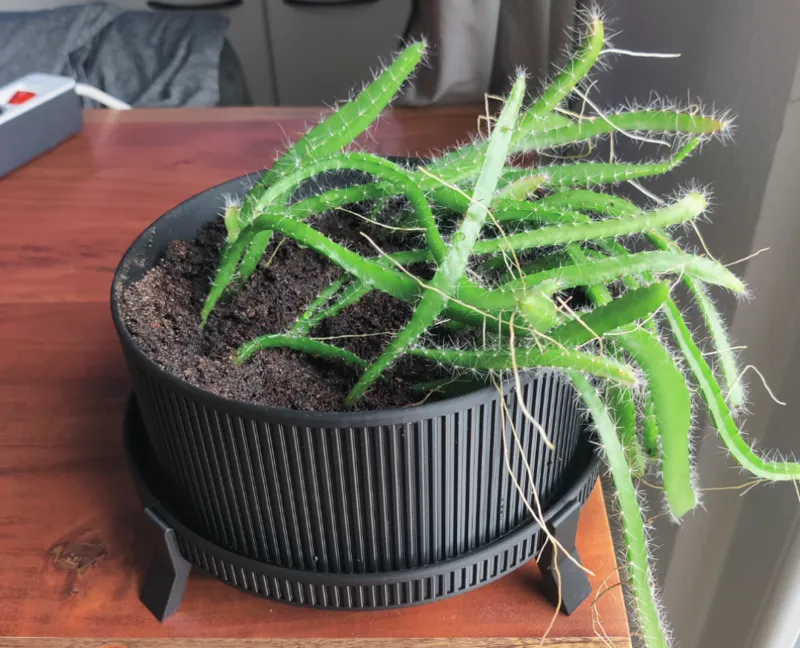 Wide Pot with centering knob and stand