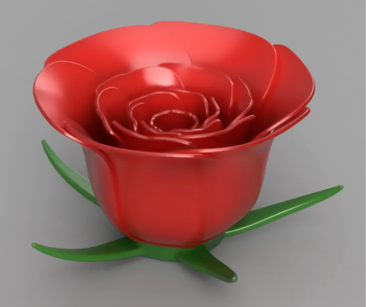 Rose 