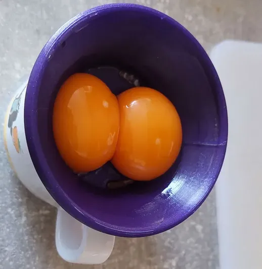 Yolk separator