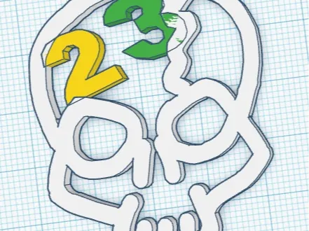 23 skull