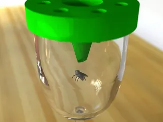 Fly away