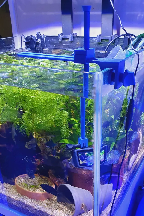 https://makerworld.bblmw.com/makerworld/model/DSM00000000503039/design/2024-06-20_hbu7r5oihf86.jpg