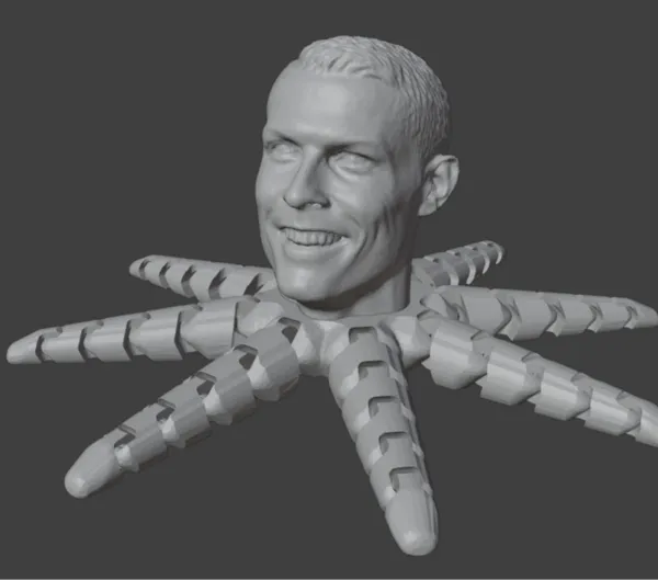 https://makerworld.bblmw.com/makerworld/model/DSM00000000503481/design/2024-06-20_725f59b7948fb.jpg