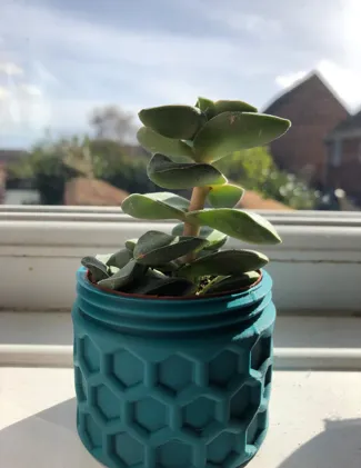 Pot Plant Holder/ Planter