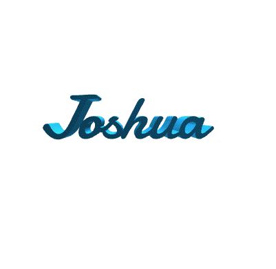 CUSTOM JOSHUA PRINT WITH COOL GLASSES