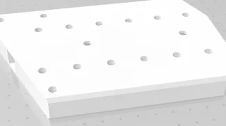 Parte 5 Bicipite Piastra
