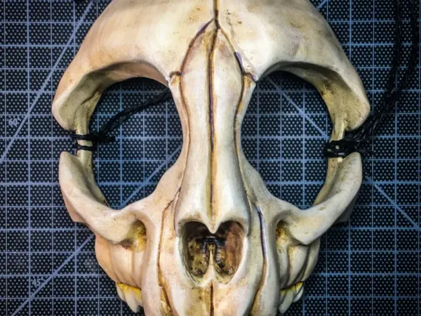 Masque tête de mort de chat