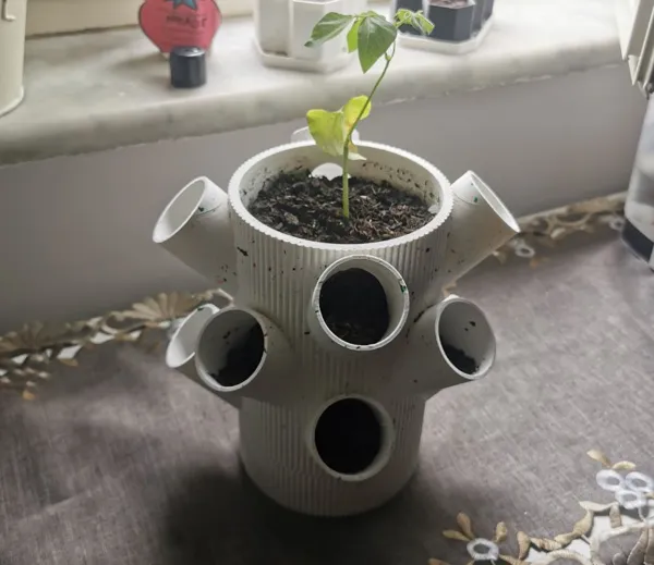 https://makerworld.bblmw.com/makerworld/model/DSM00000000506153/design/2024-06-22_84e3719ebfad2.jpeg