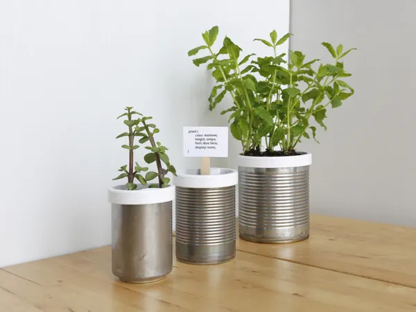 https://makerworld.bblmw.com/makerworld/model/DSM00000000506160/design/2024-06-22_jup9f45kh12v.jpg
