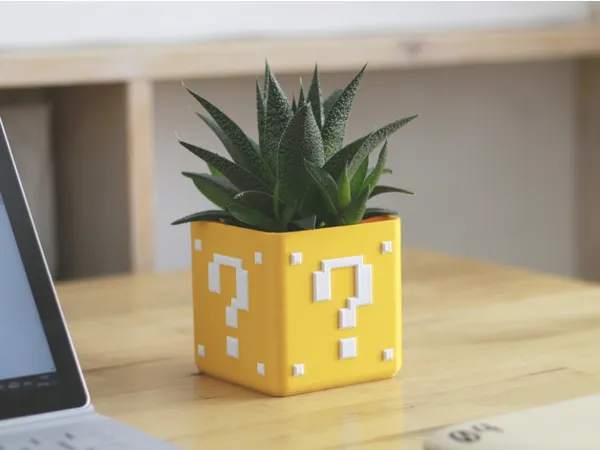 https://makerworld.bblmw.com/makerworld/model/DSM00000000506202/design/2024-06-22_iijbhma97b6z.jpg