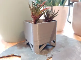 small plant pot