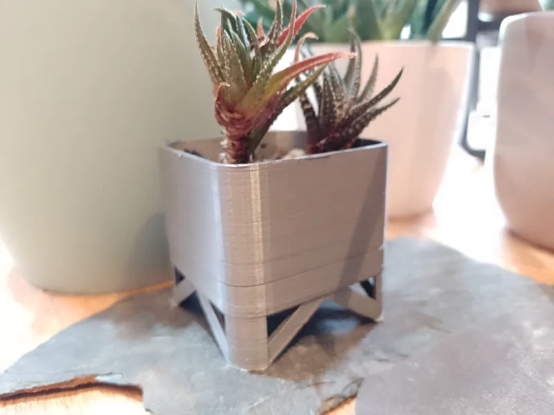 small plant pot