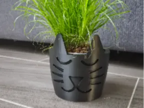Cat grass pot