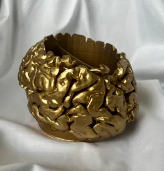 Brain Bowl V.2