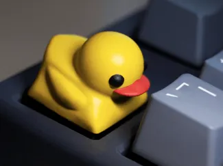 Ducky keycap (single colour)