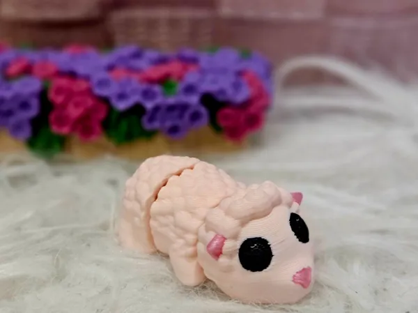 https://makerworld.bblmw.com/makerworld/model/DSM00000000508927/design/2024-06-24_ad38802f507fd.jpg