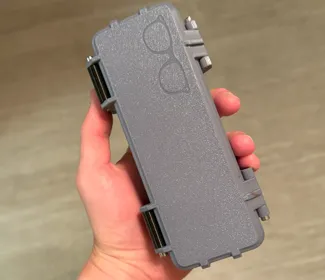 Ray-Ban Wayfarer Rugged Case
