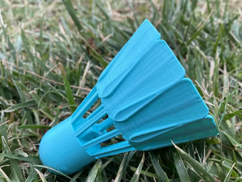 one player shuttlecock (or multiple)