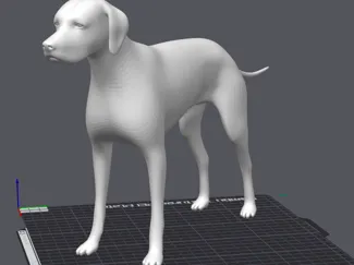 Dog