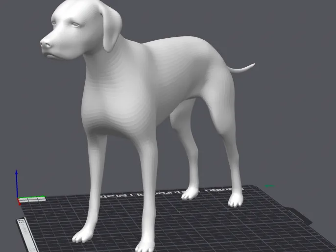 Dog