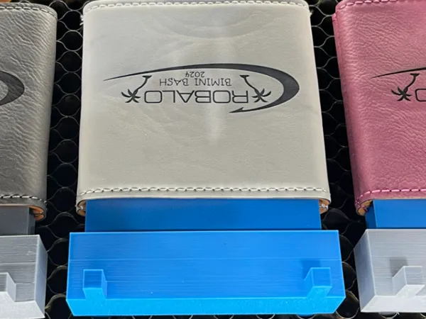 https://makerworld.bblmw.com/makerworld/model/DSM00000000513323/design/2024-06-26_c6d636038ac6.jpg