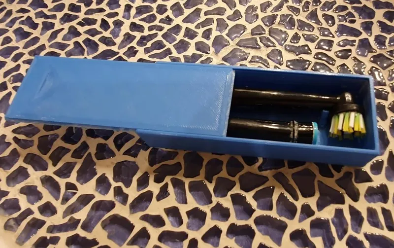 Dual OralB toothbrush travel case
