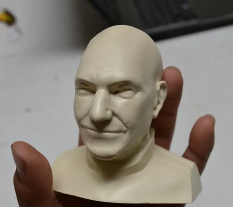 Picard Bust