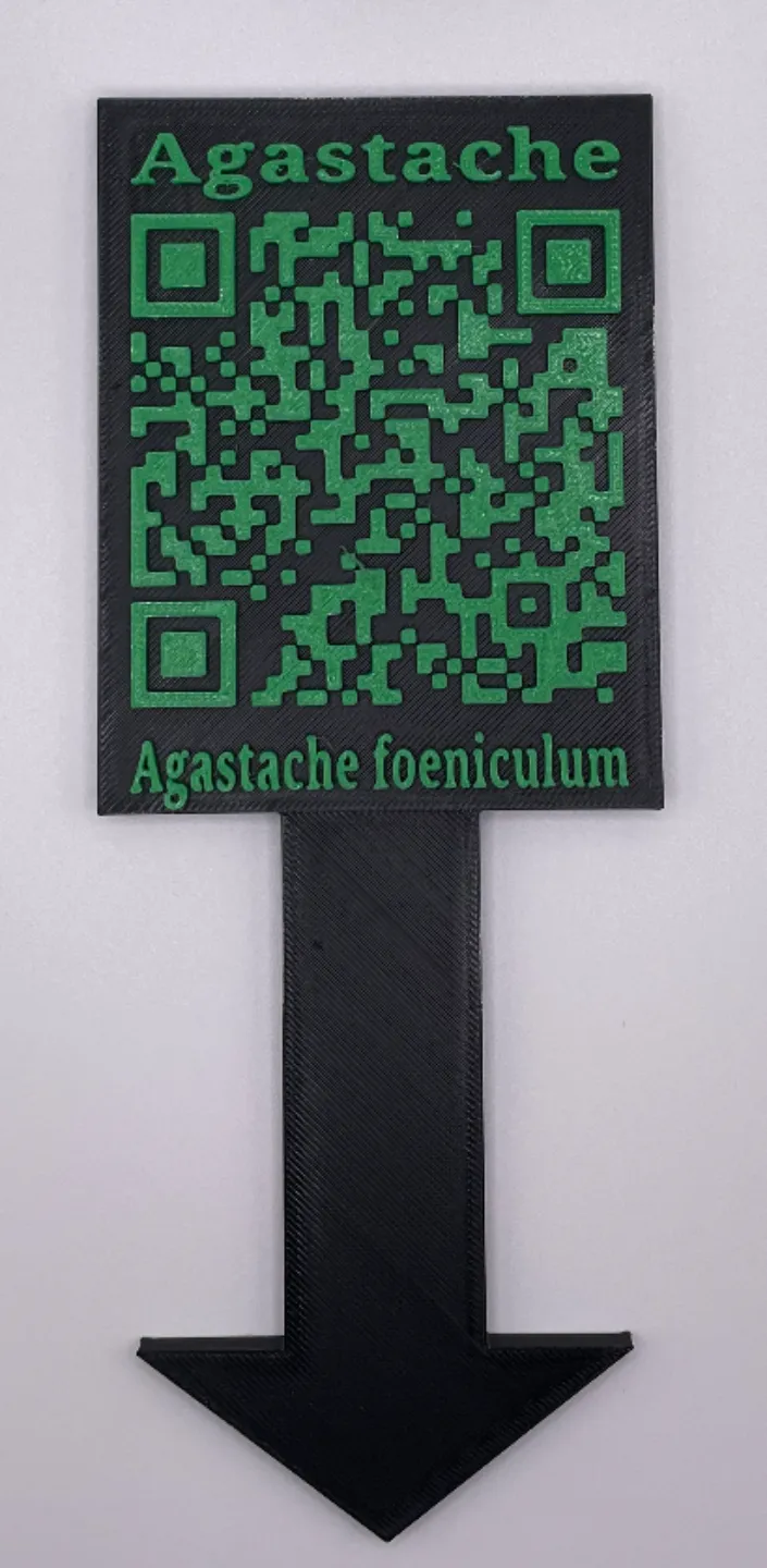 Garden Plant Identifier (Agastache)