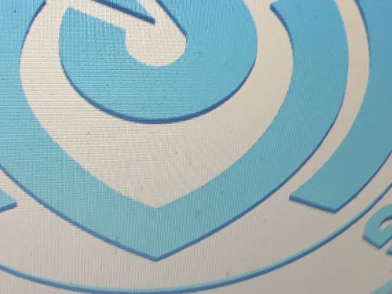MSV Duisburg Logo