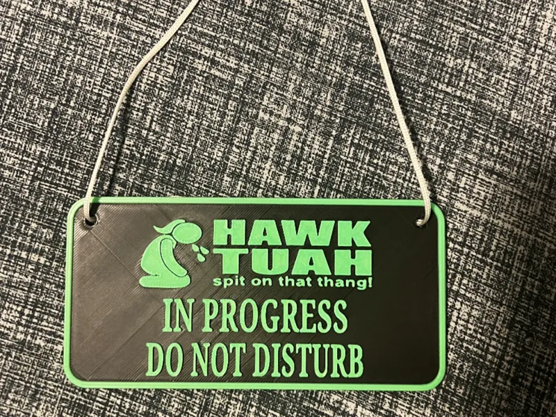 HawkTuah Door Sign