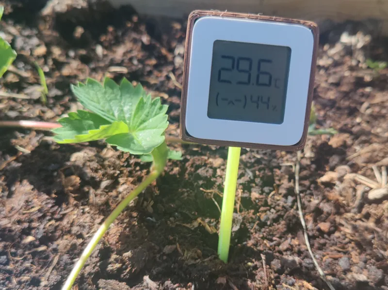 Ground/Soil holder for LYWSD03MMC temp sensor