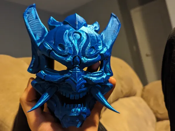 https://makerworld.bblmw.com/makerworld/model/DSM00000000518937/design/2024-06-30_a670ed04b2084.jpg