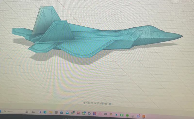 F22 (Needs Supports)