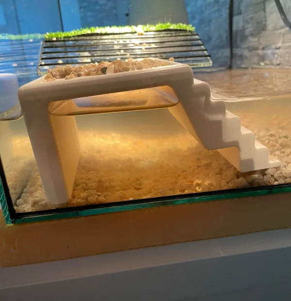 Plateforme pour tortue d'aquarium