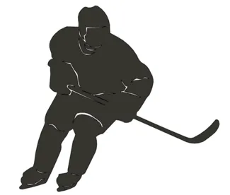 Ice hockey player