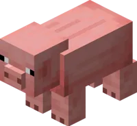 Cochon Minecraft — photo 1