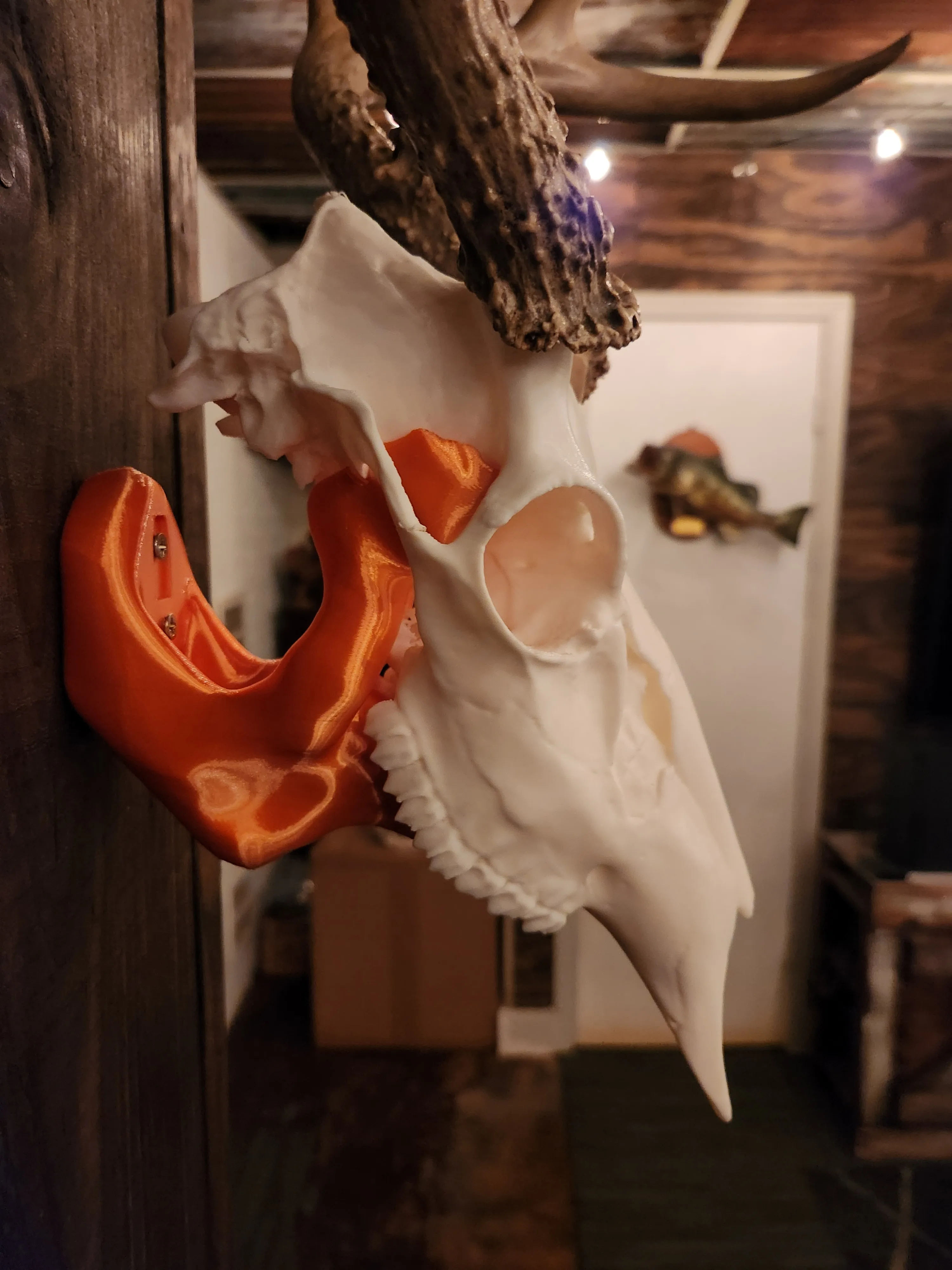 Deer Skull - 8 Point Rack by DTM247 MakerWorld: Download Free 3D Models