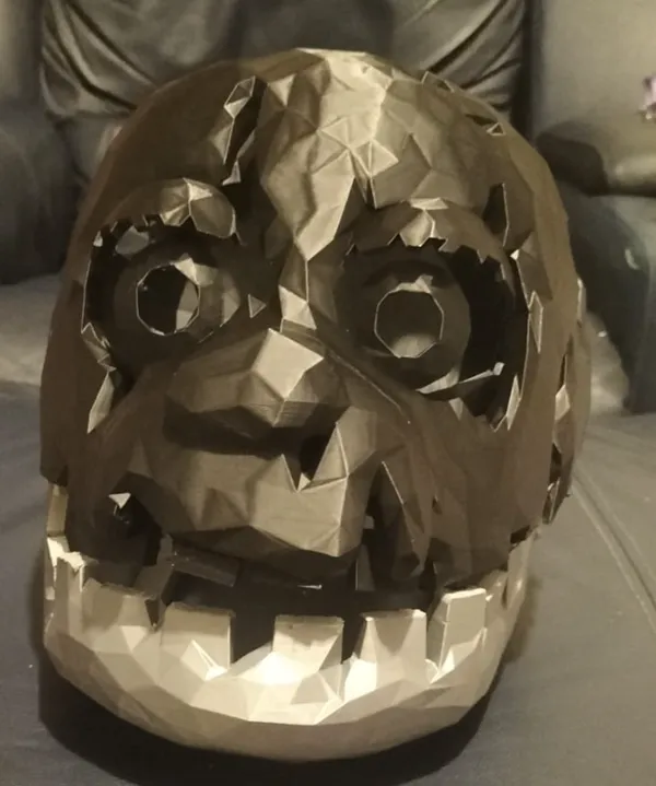 https://makerworld.bblmw.com/makerworld/model/DSM00000000522596/design/2024-07-03_c2366fc64bc.jpg