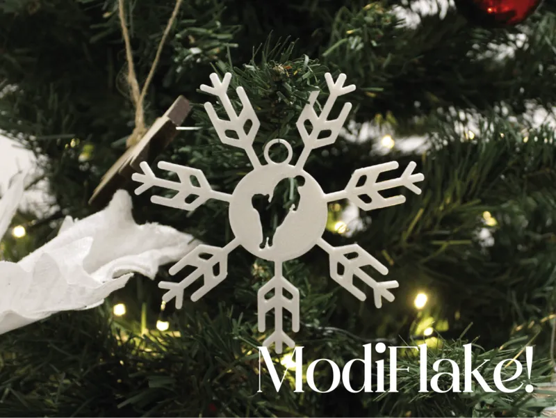 ModiFlake! Customizable Christmas Snowflake 