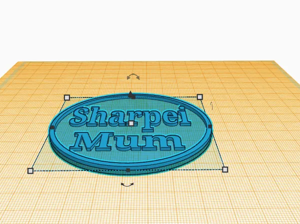 https://makerworld.bblmw.com/makerworld/model/DSM00000000523673/design/2024-07-03_2aef62ebbd01d.png