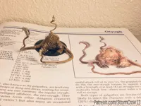 Figurine Otyugh - monstre de donjon — photo 1