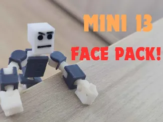 MINI 13 Face Pack!!