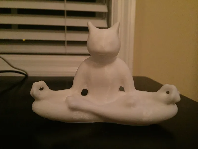Meditating Cat