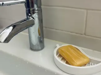 Leaf soap holder
