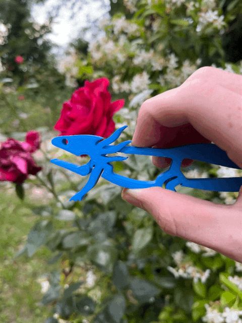 WIGGLY AXOLOTL CLIP!